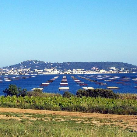 Appartamento Port Mezua Mèze Esterno foto